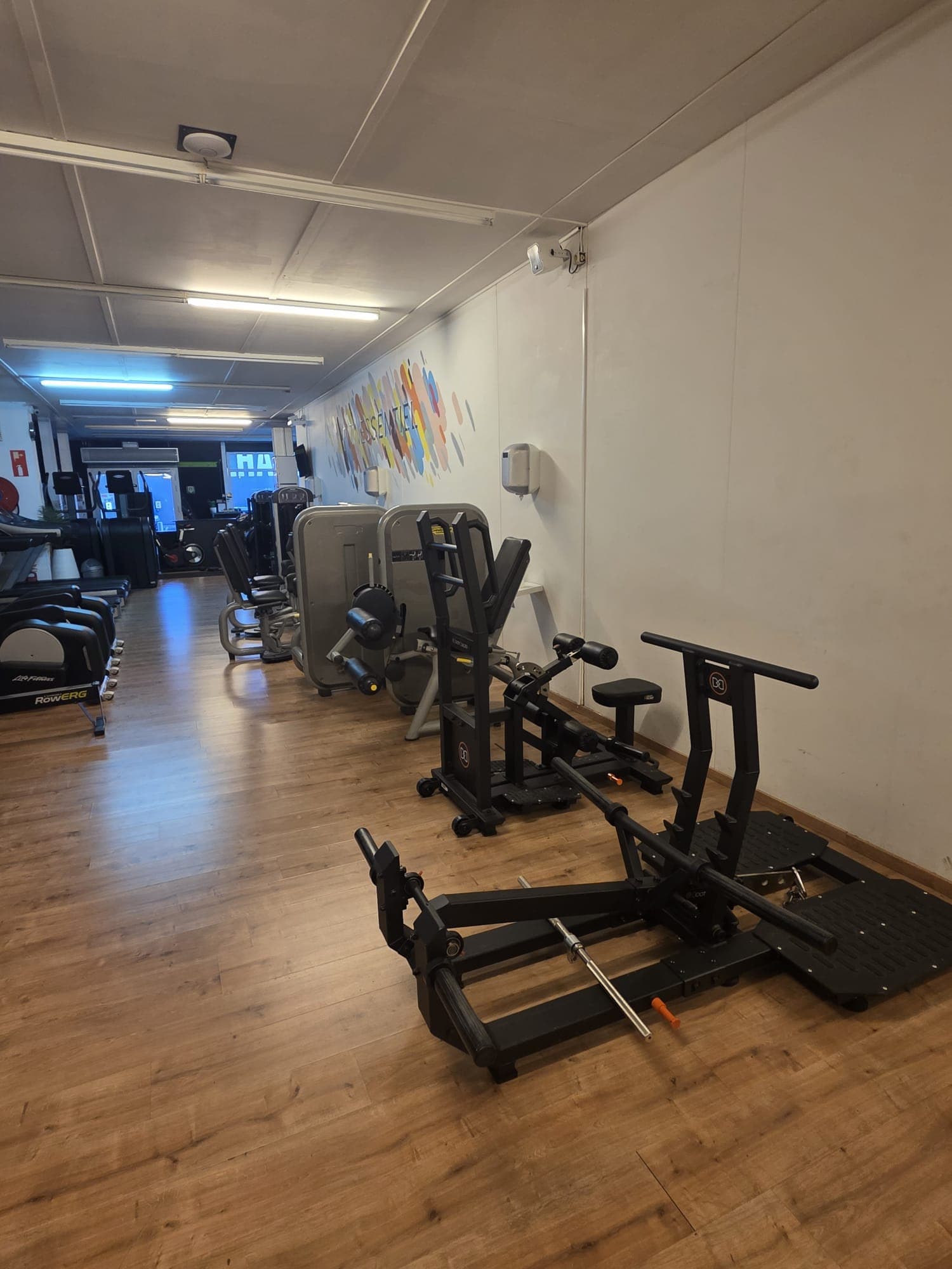 Zone cardio et machines guidées